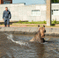 Нижнекамские огнеборцы помогли лосю выбраться из водоёма - МЧС РТ