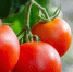 Ученые назвали продукты, которые повышают тестостерон - ProKazan.Ru