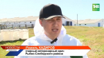 Миллионные убытки от бруцеллеза подсчитывают в Татарстане: откуда завезли и как защититься?