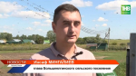 Миллионные убытки от бруцеллеза подсчитывают в Татарстане: откуда завезли и как защититься?