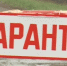 Стало известно, из-за чего ввели карантин по бешенству в Сармановском районе РТ - ТРК Татарстан-Новый век