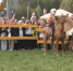 Обладатель самой красивой лошади и самый быстрый возчик: в РТ прошел юбилейный День коня - ТРК Татарстан-Новый век