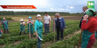 Озвучены главные вопросы в поездке Минниханова в Зеленодольский и Пестречинский районы - ТРК Татарстан-Новый век