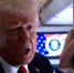Трамп готов организовать встречу с Путиным и Зеленским после переговоров на Аляске - Реальное время