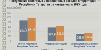 Доходы бюджета Татарстана с начала 2025 года выросли на 13% - ИА Татар-информ
