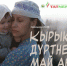 Определен фильм открытия XXI Казанского международного кинофестиваля «Алтын минбар» - Министерство культуры