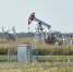 Минниханов: нефтегазовый комплекс Татарстана - драйвер экономики республики - Комсомольская правда Казань