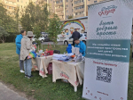 «Всё продумано для жителей»: в Казани подвели итоги программы «Наш двор»