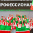 Татарстан завоевал 15 золотых медалей на финале Чемпионата «Профессионалы» - Министерство образования