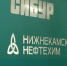 Масштабную реновацию санатория-профилактория «Корабельная роща» проведет СИБУР в Нижнекамске - ТРК Татарстан-Новый век