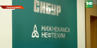 Масштабную реновацию санатория-профилактория «Корабельная роща» проведет СИБУР в Нижнекамске - ТРК Татарстан-Новый век