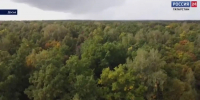 лес - ГТРК Татарстан