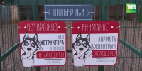 Карантин из-за смертельно опасного вируса бешенства ввели еще в трех районах Татарстана - ТРК Татарстан-Новый век