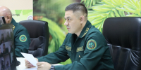 В Минлесхозе РТ обозначили ключевые направления работы на предстоящий период - Министерство лесного хозяйства