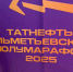 Спортивный досуг жителей Альметьевска - Министерство труда