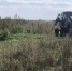 В Татарстане полиция уничтожила две тонны дикорастущей конопли - Комсомольская правда Казань