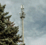 Т2 расширила LTE-покрытие в ОЭЗ «Алабуга» - ИА Татар-информ