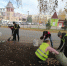 266 единиц техники и 1030 кубометров мусора: Нижнекамск подвел итоги осенних субботников - ИА Татар-информ