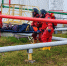 В Татарстане проведено 63 учения по ликвидации разливов нефти и нефтепродуктов - Министерство экологии