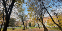 С тумана, гололедицы и ветра до 10 м/с начнется суперкороткая рабочая неделя в РТ - ТРК Татарстан-Новый век