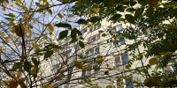 Осень пока не уступит место зиме: прогноз до конца недели в Татарстане - ТРК Татарстан-Новый век