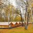 Ноябрь и март в Казани в ближайшие 30 лет станут на 2,5 градуса теплее – синоптик - ИА Татар-информ