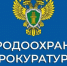 Казанская межрайонная природоохранная прокуратура информирует о проведении Всероссийского дня приема предпринимателей - Министерство лесного хозяйства