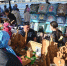 Самозанятые Татарстана смогут бесплатно представить продукцию в ТЦ Казани - Реальное время