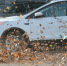 Гидрометцентр РТ: В Татарстане вплоть до ночи сохранится очень крепкий ветер - ИА Татар-информ