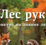 Стартовал конкурс «Лес рук» - Министерство лесного хозяйства