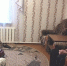 Волонтеры из приюта «Мечта» оказывают помощь пожилым людям - Министерство труда