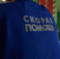 Состояние девочки, пострадавшей от нападения собак в Васильево, остается тяжелым - TatPressa.Ru