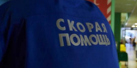 Состояние девочки, пострадавшей от нападения собак в Васильево, остается тяжелым - TatPressa.Ru