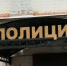 По делу о нападении собак на ребенка в Васильево задержали депутата совета Айшинского сельского поселения - ТРК Татарстан-Новый век