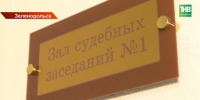 Обвиняемые по делу о нападении собак на ребенка в Васильево заявили о недофинансировании и переполненности приюта - ТРК Татарстан-Новый век