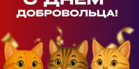 ПОЗДРАВЛЯЕМ ВСЕХ ВОЛОНТЁРОВ С ДНЁМ ДОБРОВОЛЬЦА! - ККИ РУК