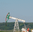 Интегрированный отчет «Татнефти» — среди лучших в конкурсе RAEX - TatCenter.ru