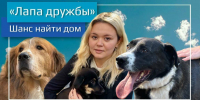 Видеокорреспондент «Татар-информа» стала победителем конкурса среди СМИ «Добро в эфире» - ИА Татар-информ