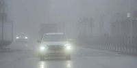 Из-за циклона в РТ потеплеет до +1 градуса и пройдут осадки в виде мокрого снега и мороси - ИА Татар-информ