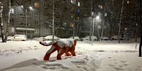 Снежное цунами: полуметровые сугробы ожидаются в Москве - ТРК Татарстан-Новый век