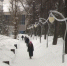 В Татарстане похолодает до -32 градусов - ГТРК Татарстан