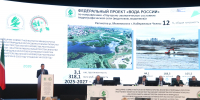 Татарстан активно выполняет новый национальный проект «Экологическое благополучие» - Министерство экологии
