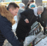 «Мы ими гордимся»: в Новошешминском районе открыли мемориальные доски бойцам СВО - ИА Татар-информ