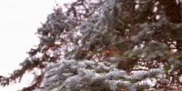 Народные приметы на 12 февраля - ГТРК Татарстан