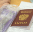 В большинстве пунктов ЕГЭ в 2026 году будут применять системы подавления сотовой связи - TatPressa.Ru