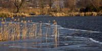 Половодье-2026 в Татарстане: когда ждать большую воду и какие реки под угрозой - ТРК Татарстан-Новый век