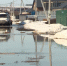 В поселке Новые Сокуры под Казанью затопило более 15 участков - ГТРК Татарстан