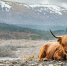 як - ГТРК Татарстан