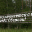 Татарстанцам напомнили об ответственности за пал сухой травы - ГТРК Татарстан