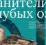 Институт развития городов Татарстана запускает программу развития сообщества «Хранители Голубых озер» - Министерство лесного хозяйства